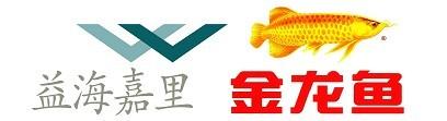 豆粕吨袋包装机